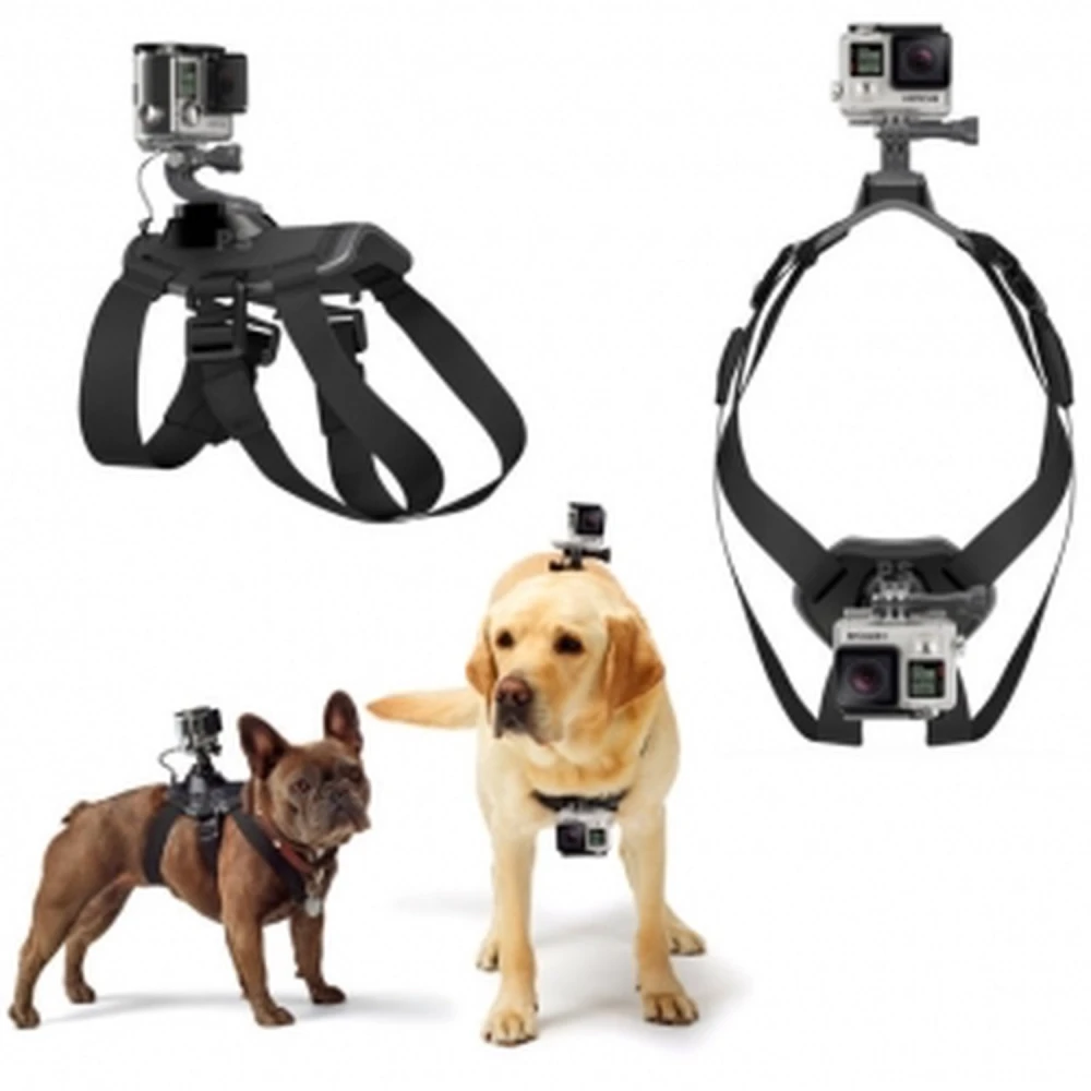 Harnais pour chien pour caméra GoPro 1/2/3 et SJ4000, réglable et résistant