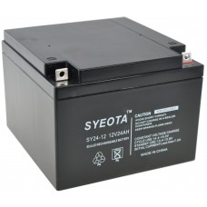 Batterie En Plomb Scellée Sy24-12 12v/24ah Rechargeable 175x124x165mm