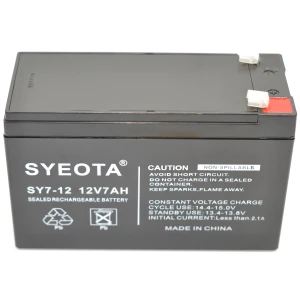 Batterie plomb rechargeable 12V 7Ah SY7-12 pour alarmes, UPS et plus