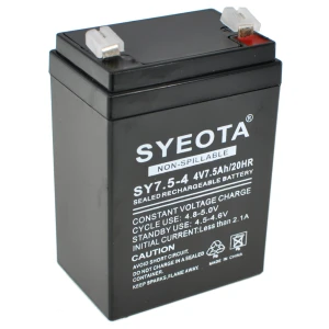 Songyuan Batterie plomb rechargeable 4V 7.5Ah SY7.5-4 pour alarmes, balances et jouets