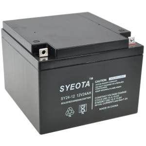 Batterie plomb étanche 12V 24Ah SY24-12 rechargeable