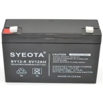 Batterie plomb étanche 6V 12Ah SY12-6 rechargeable
