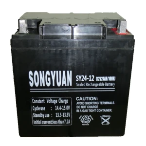 Songyuan Batterie plomb étanche rechargeable 12V 24Ah SY24-12 Songyuan